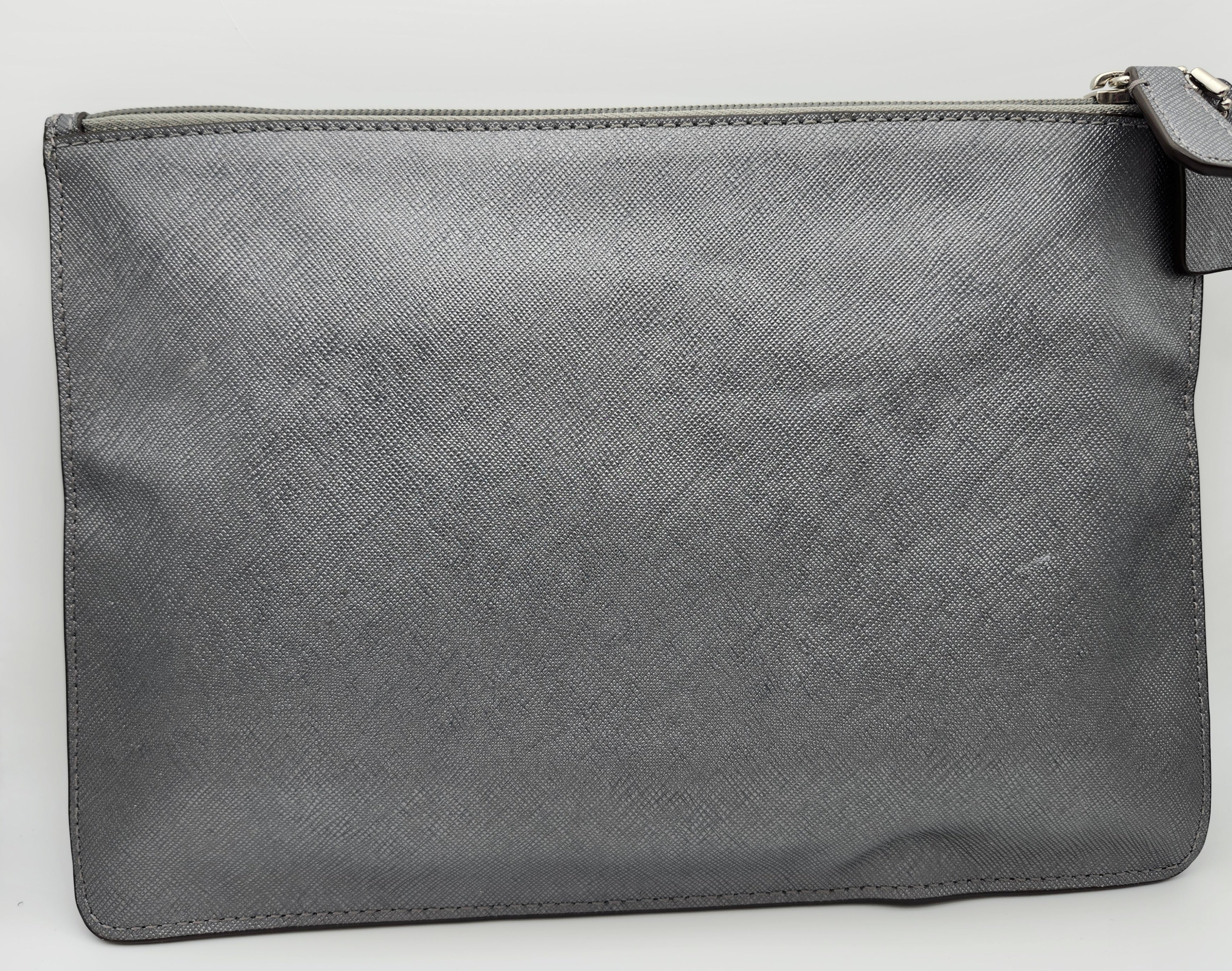 Coach Lion Saffion Leather Clutch/Pouch Leo